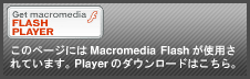 Flash Player�Ϥ����餫��