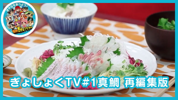 ぎょしょくTV#1真鯛 再編集版｜安高水産