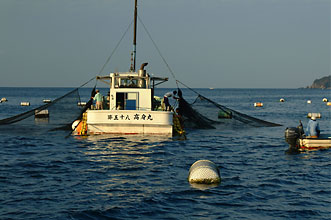 EP�D�@��58���g��